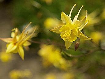 《不予播出》新DLC“生活点滴”发售 国区定价36元